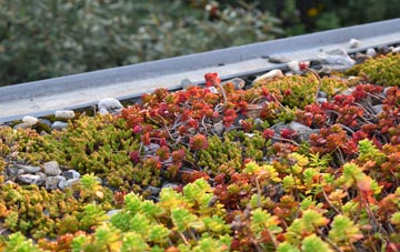 the cost of Durgan green roof installation
