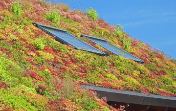 Durgan living roof systems